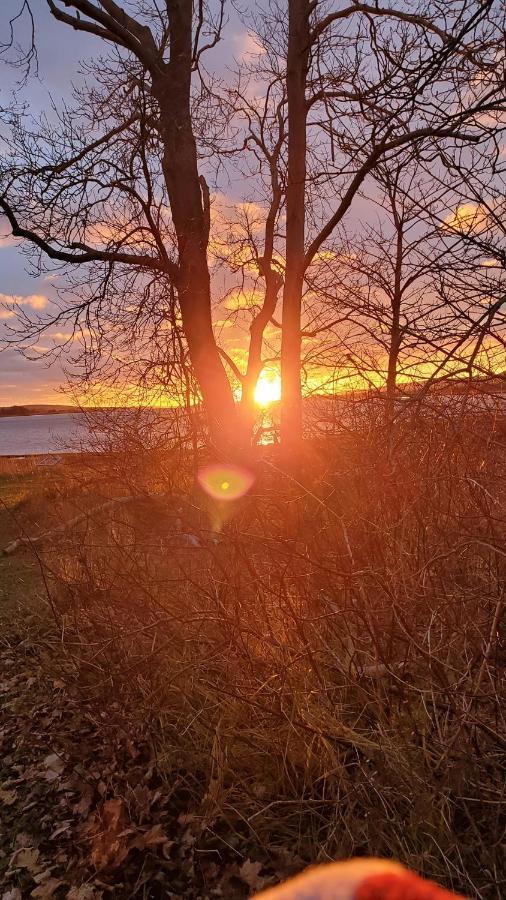 The Lark & Loon Inn Annapolis Royal Dış mekan fotoğraf